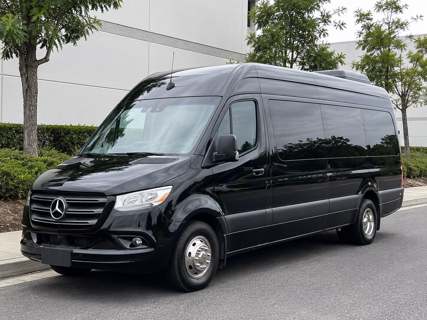 book the perfect ride for your next birthday 5