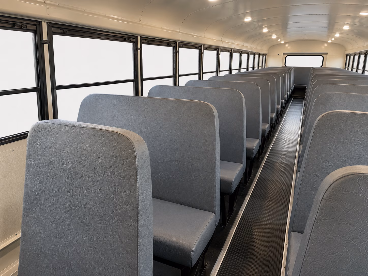 school bus rentals for outdoor and nature field trips near